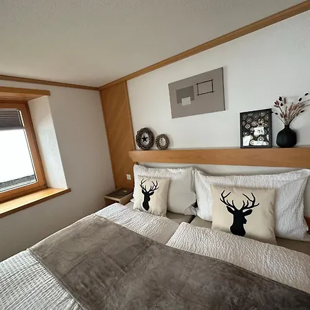 Apartmán Bergfreude *