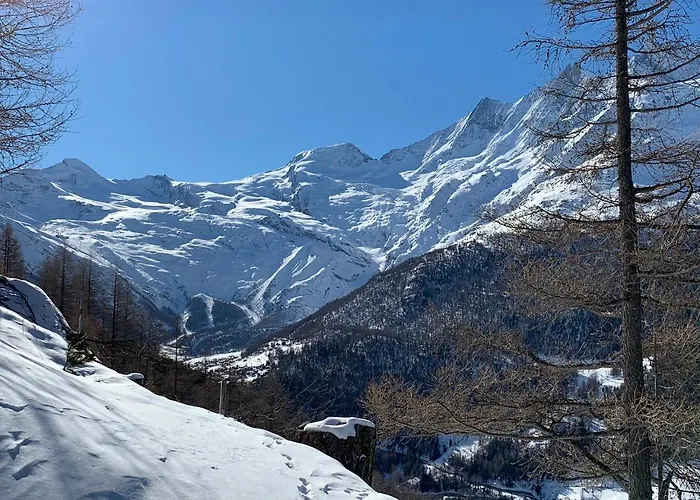 Daire Bergfreude Saas-Grund