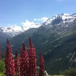 Bergfreude